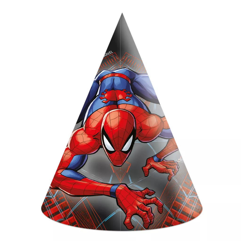 Geburtstags Party Set Spidermann Standard bis 6 Kinder 69 Teilig