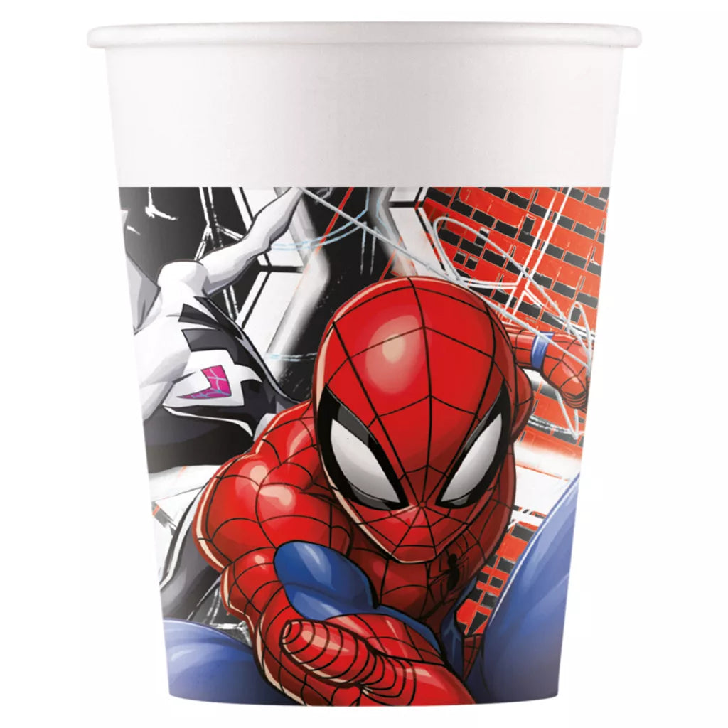 Geburtstags Party Set Spidermann Standard bis 6 Kinder 69 Teilig
